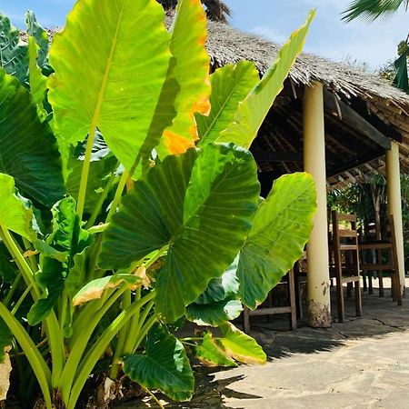 Ltorec Nyali Beach 외부 사진